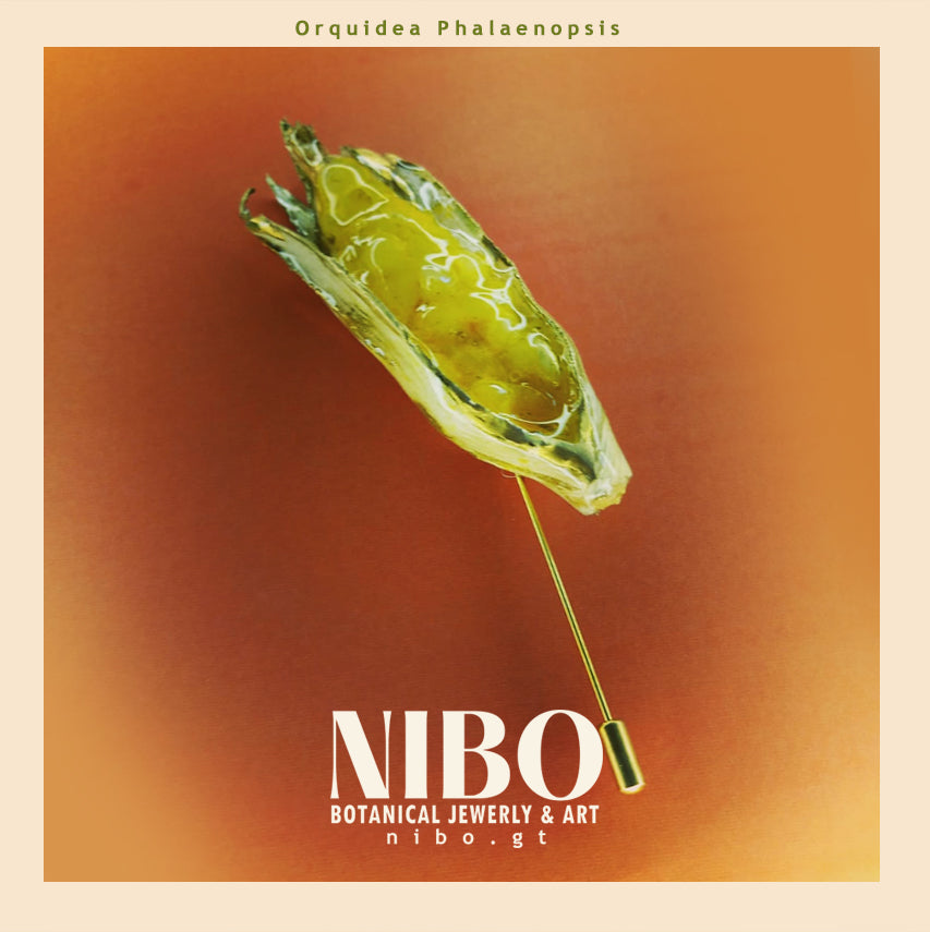 Broche de Alfiler / Maíz