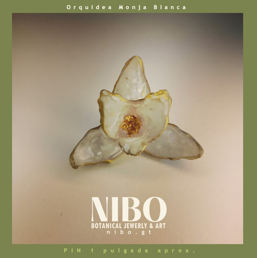 Pin / Monja Blanca sin Hoja