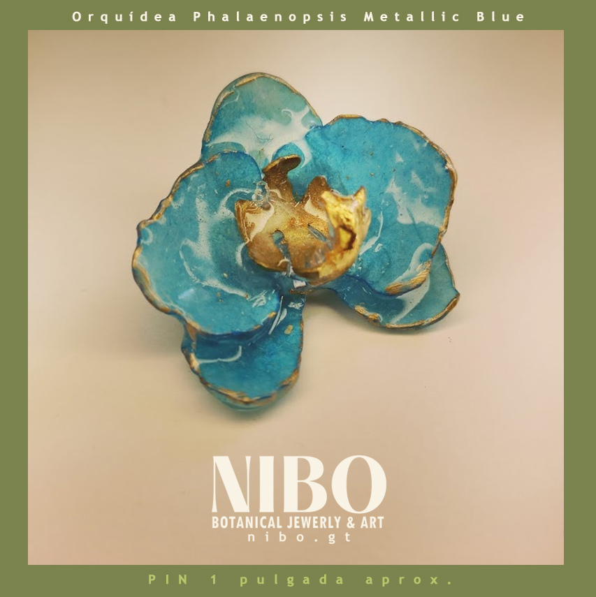 Pin / Orquídea Phalaenopsis