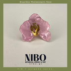 Pin / Orquídea Phalaenopsis
