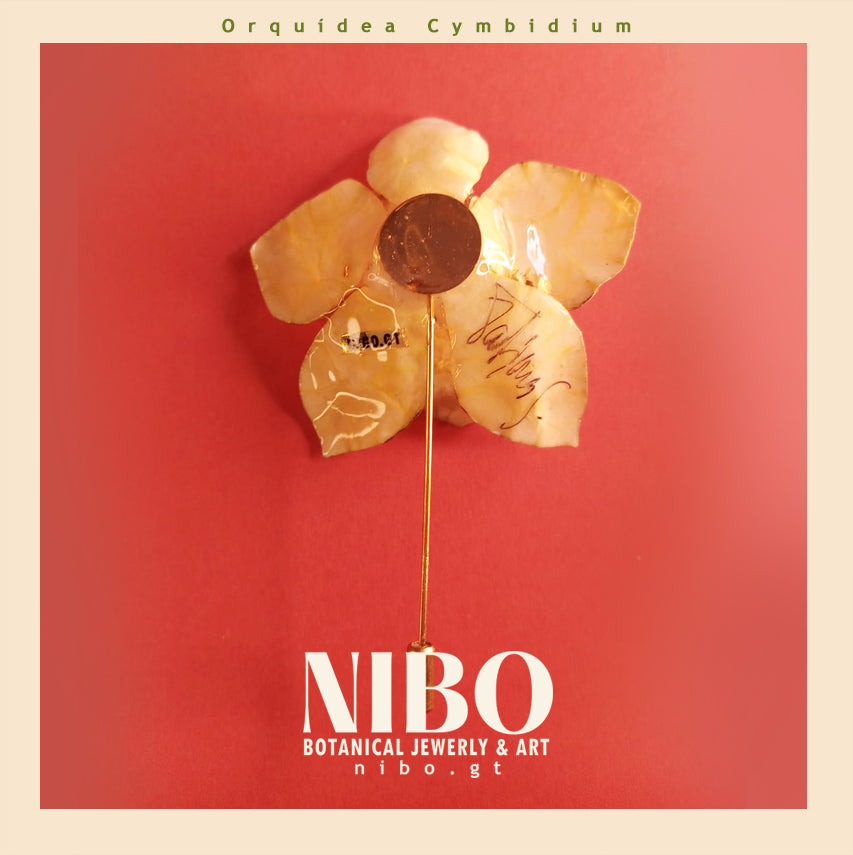 Flor Cymbidium / Broche de Alfiler