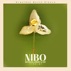 Orquídea Monja Blanca / Broche de Alfiler