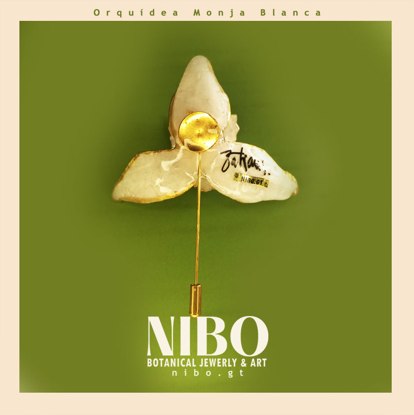 Orquídea Monja Blanca / Broche de Alfiler