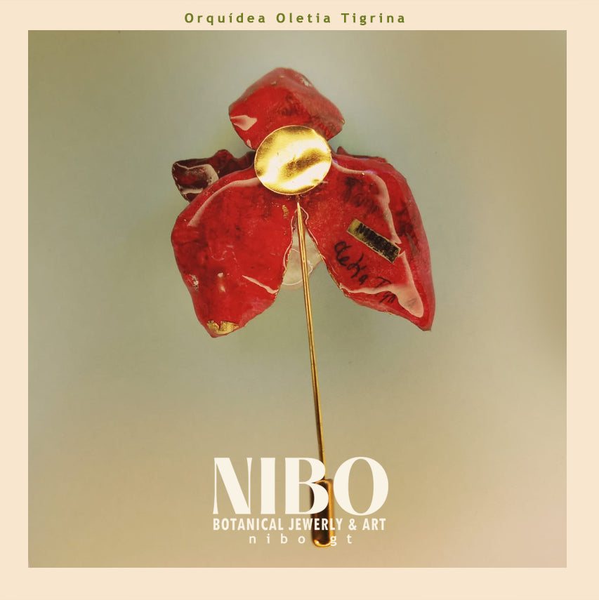 Broche de Alfiler / Oletia Tigrina