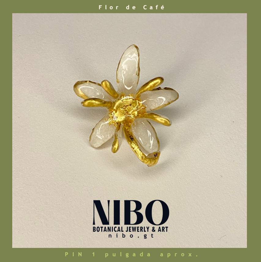 Pin / Flor de Café Abierta