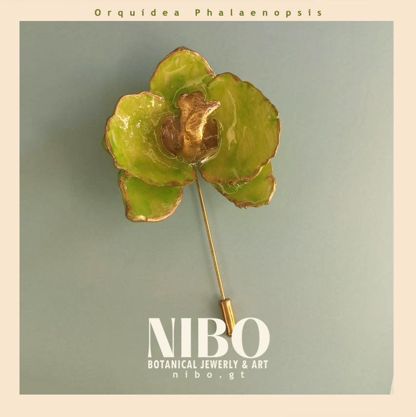 Orquídea Phalaenopsis / Broche de Alfiler