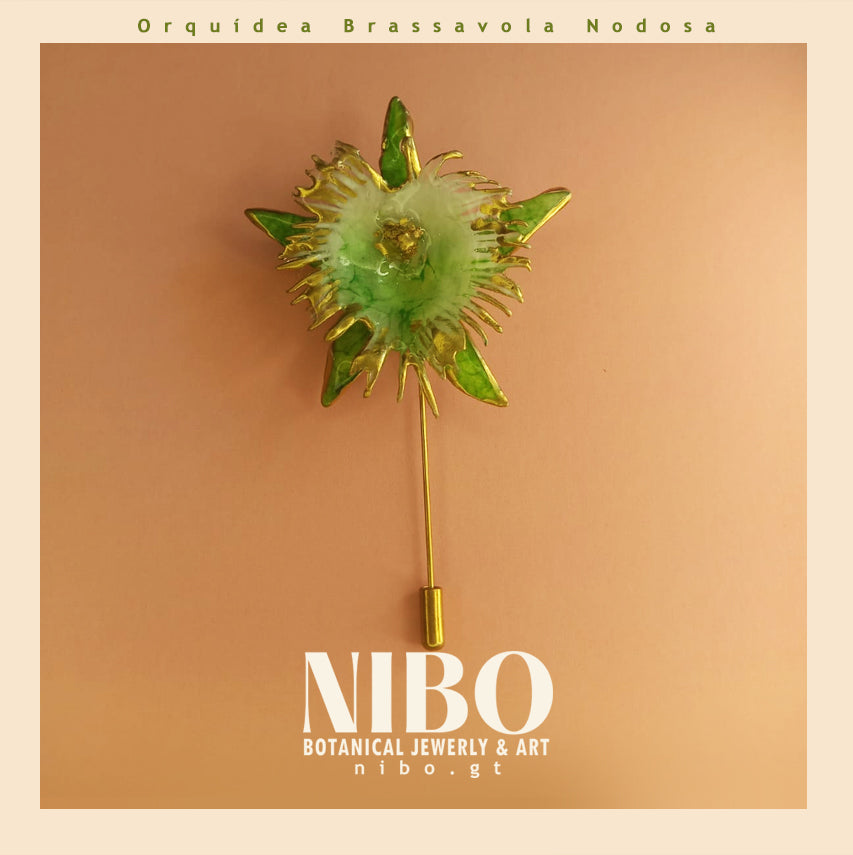 Flor Brassavola / Broche de Alfiler