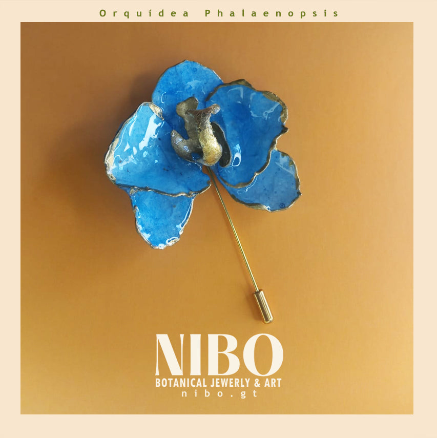 Orquídea Phalaenopsis / Broche de Alfiler