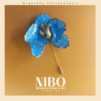 Orquídea Phalaenopsis / Broche de Alfiler