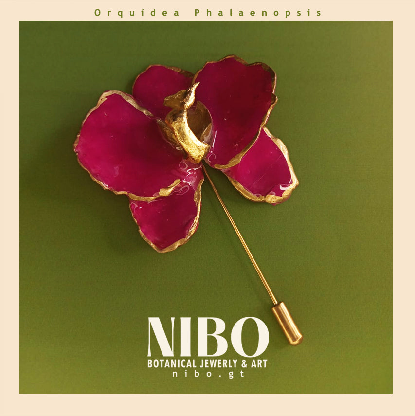 Orquídea Phalaenopsis / Broche de Alfiler