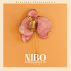 Orquídea Phalaenopsis / Broche de Alfiler