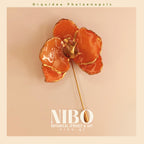 Orquídea Phalaenopsis / Broche de Alfiler