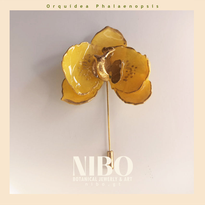 Orquídea Phalaenopsis / Broche de Alfiler