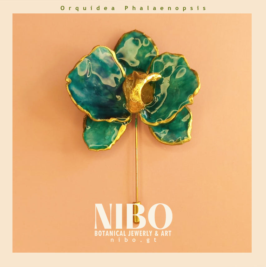Orquídea Phalaenopsis / Broche de Alfiler