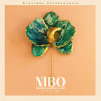 Orquídea Phalaenopsis / Broche de Alfiler