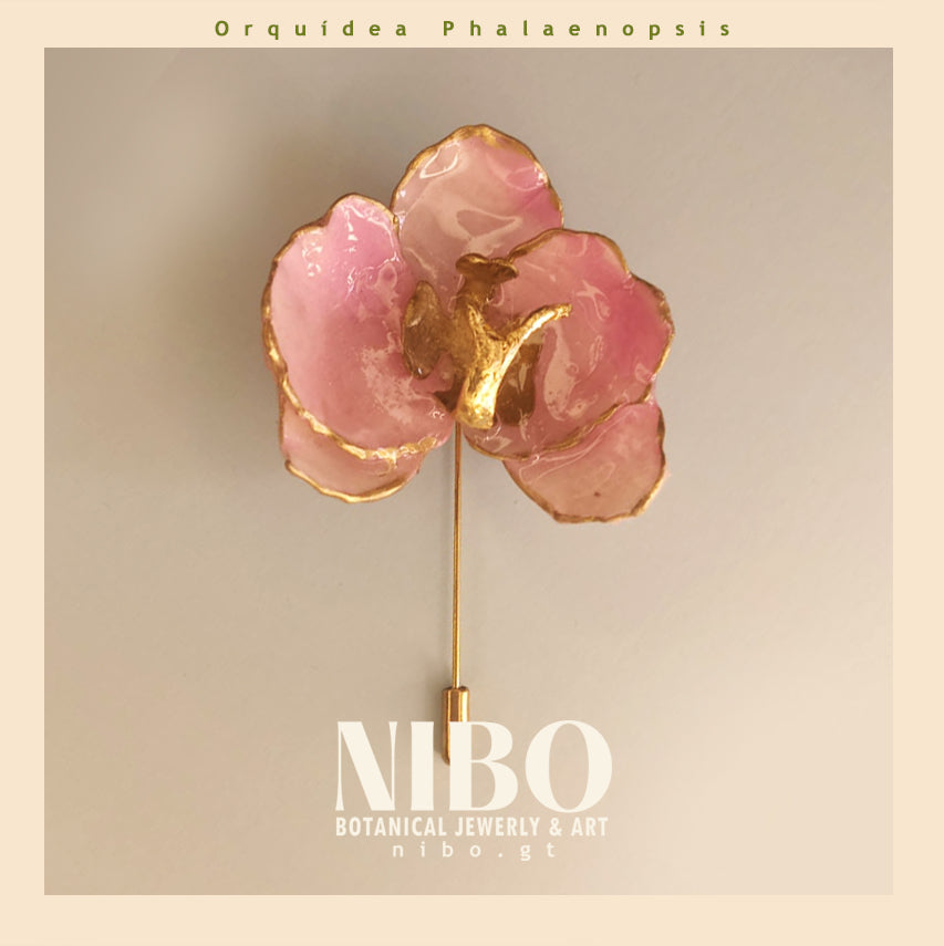 Orquídea Phalaenopsis / Broche de Alfiler