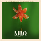 Broche de Alfiler / Guarianthe aurantiaca