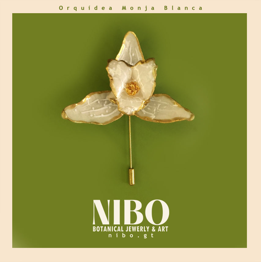Orquídea Monja Blanca / Broche de Alfiler