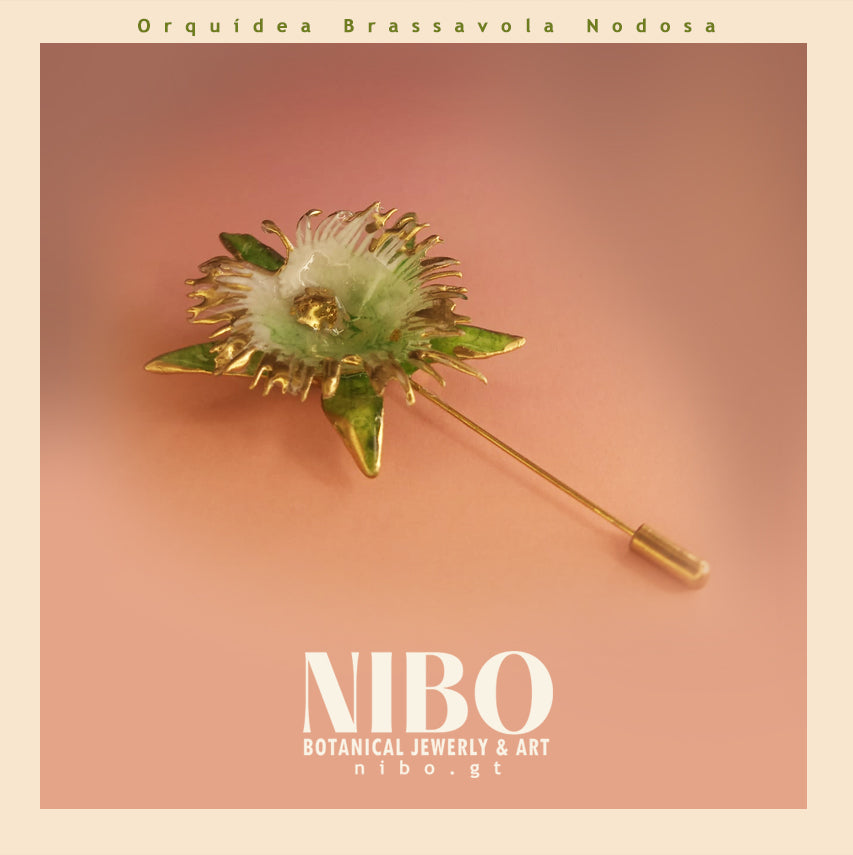 Flor Brassavola / Broche de Alfiler