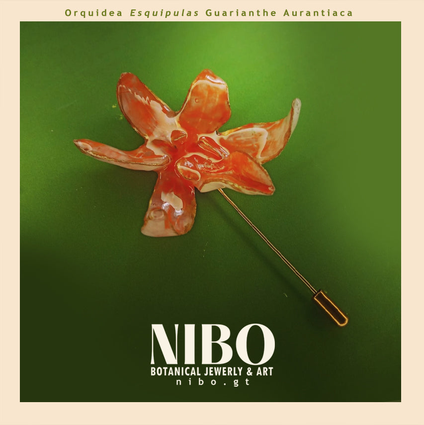 Broche de Alfiler / Guarianthe aurantiaca