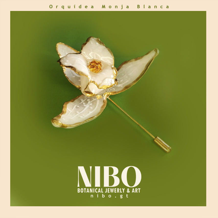 Orquídea Monja Blanca / Broche de Alfiler