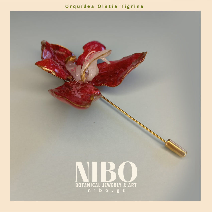 Broche de Alfiler / Oletia Tigrina