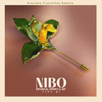 Broche de Alfiler / Prosthechea radiata