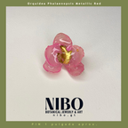 Pin / Orquídea Phalaenopsis