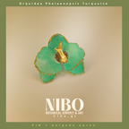 Pin / Orquídea Phalaenopsis